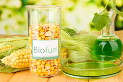 Martyrs Green biofuel availability